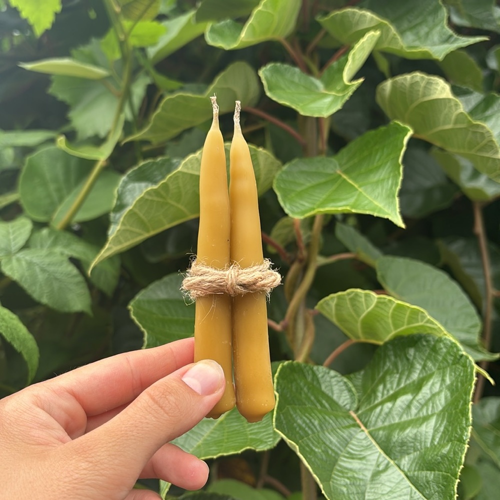 Mini Handmade Non-Toxic Beeswax Set of Two Taper Candles